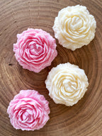 PEONIA