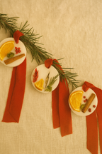 CIALDINA BOTANICA NATALIZIA