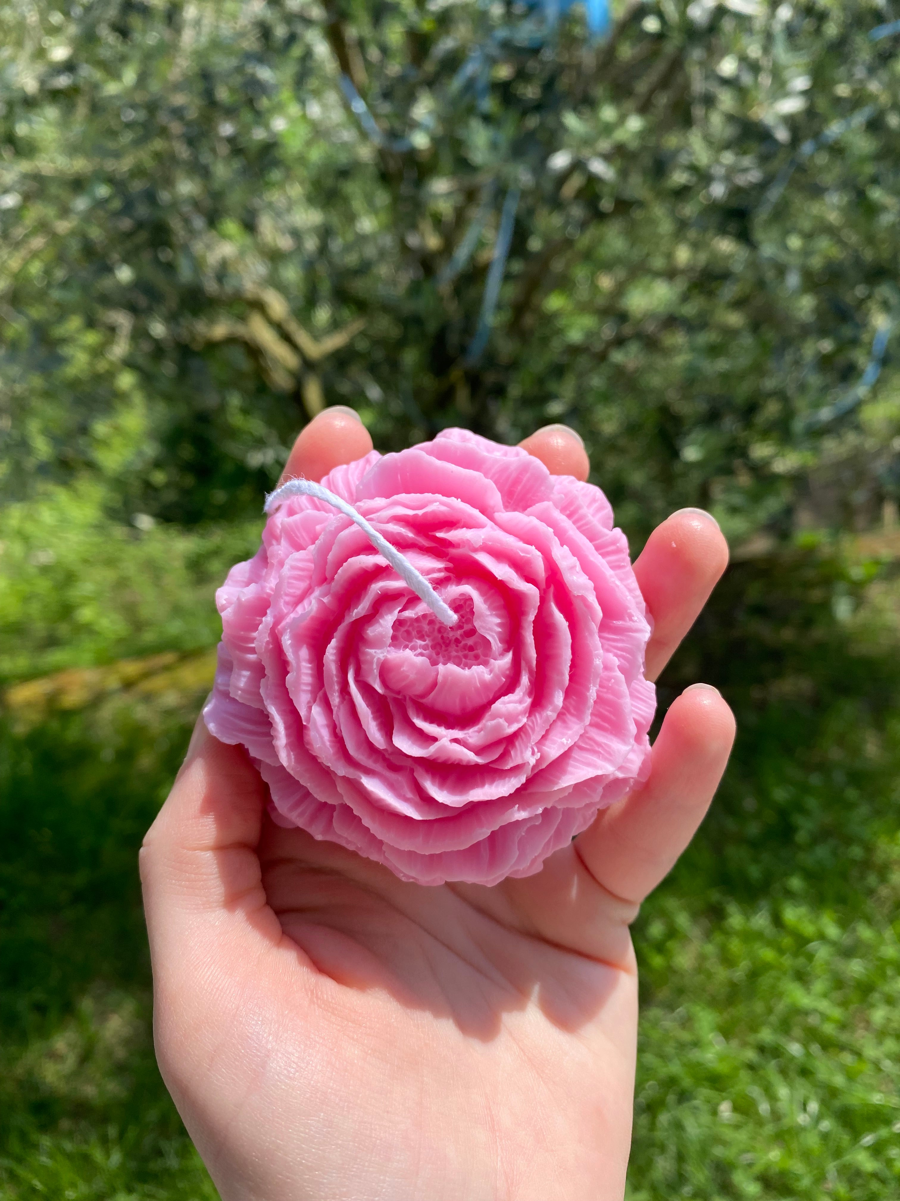 PEONIA