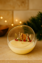 COPPETTA BOTANICA NATALIZIA