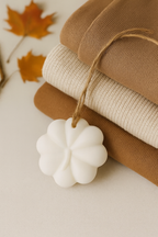 PROFUMA ARMADIO ZUCCOSO