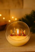 COPPETTA BOTANICA NATALIZIA